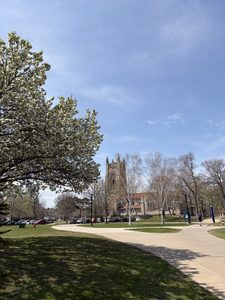 The chapel in the spring
