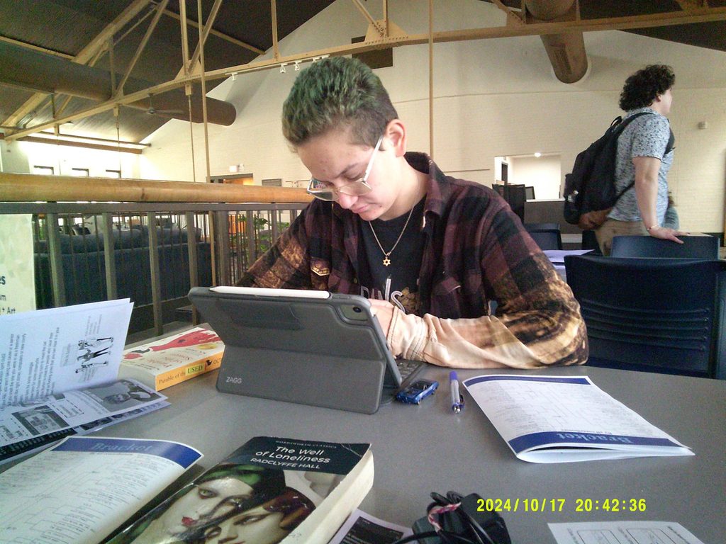 studying in sayles
