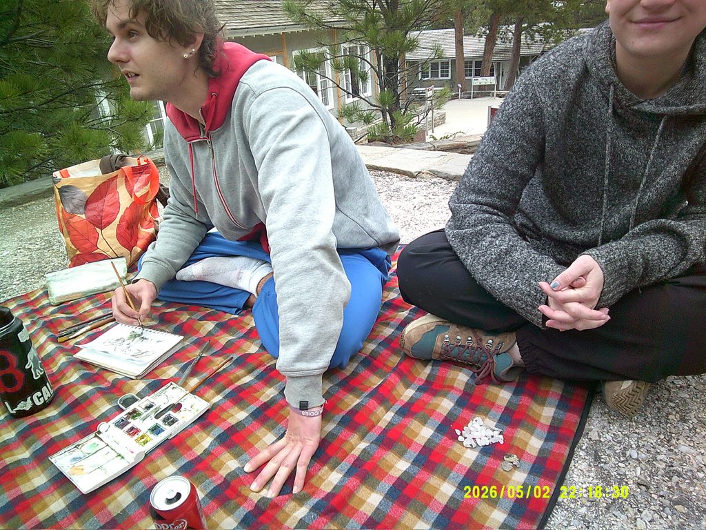 painting on picnic blanket
