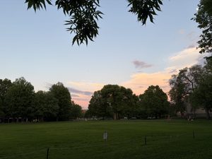 bald spot sunset in the spring