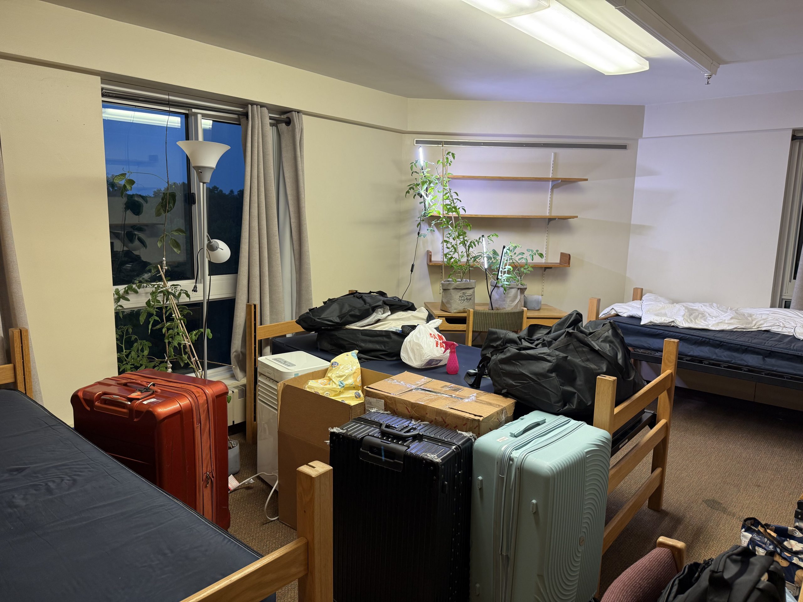 The night before house moving