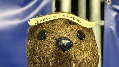 A decoration item sold at Lighten Up