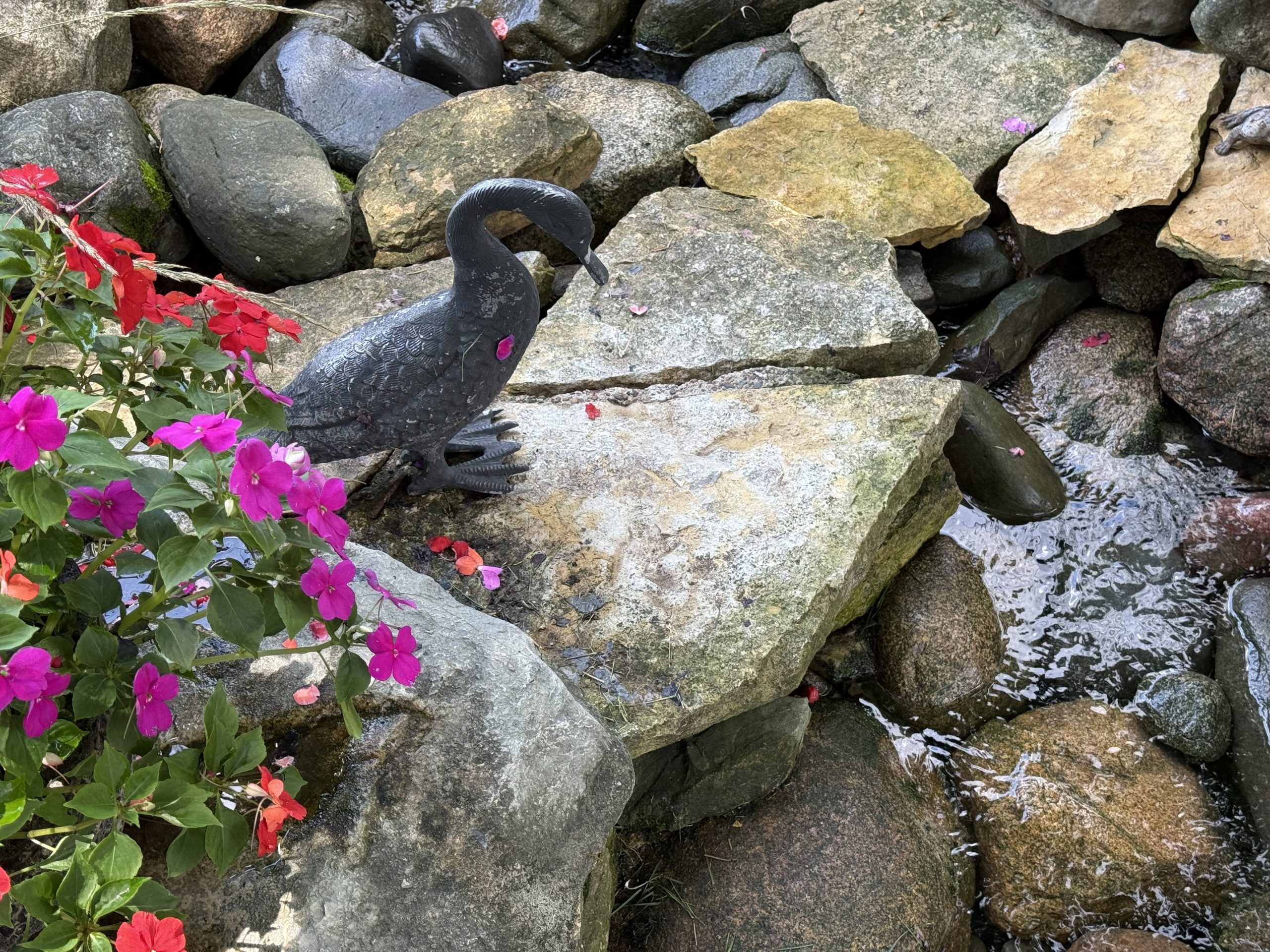 Northfield Garden Tour
