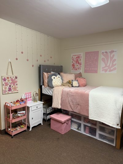 room with pink bedding and posters