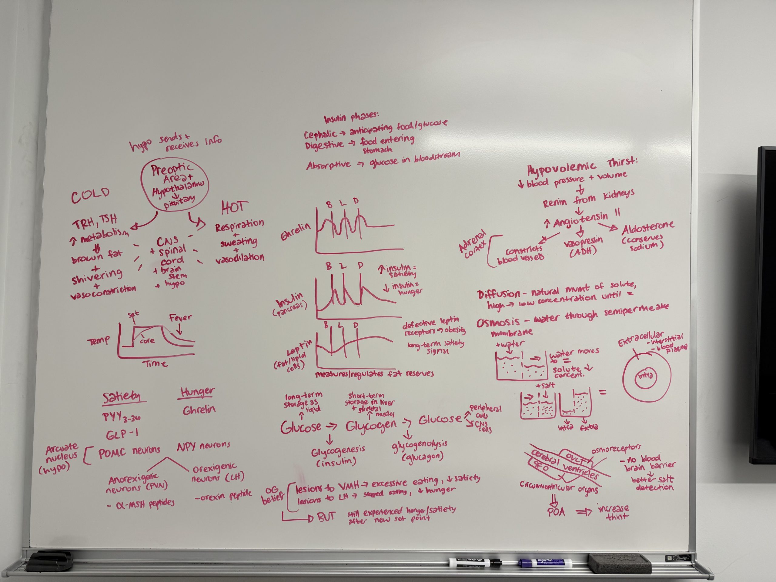 white board full of writing