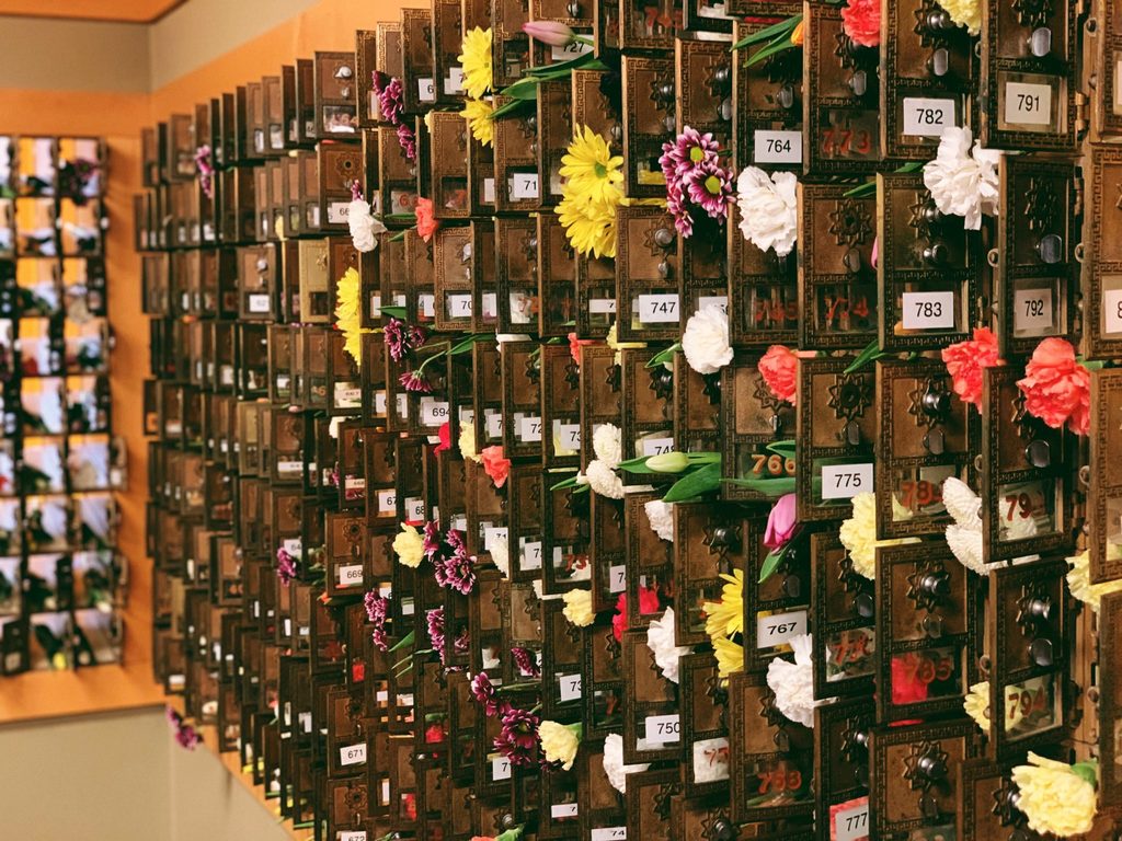 flowers sticking out of mailboxes