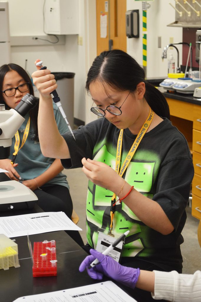 A student seated at a lab bench focused on a pipet in her hand.
