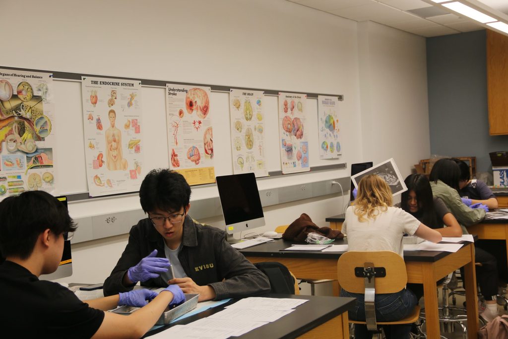 Students working in the Neuroscience lab.