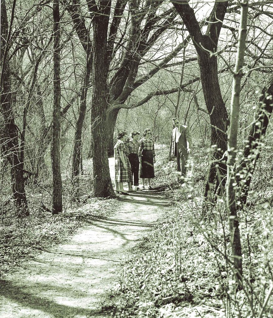 Carleton Arboretum