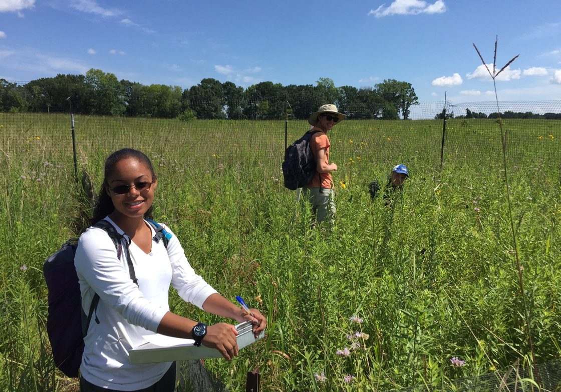 Field Biology in the Arb showing three students