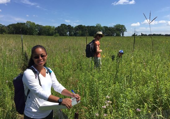 Field Biology in the Arb