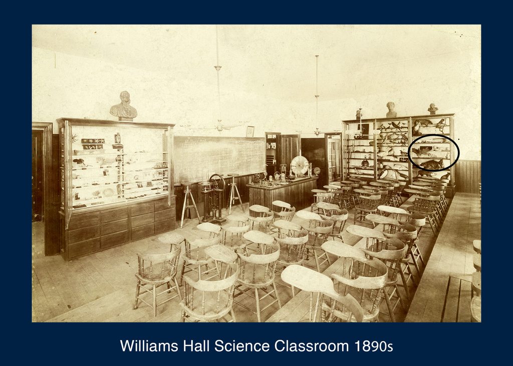 Williams Hall Classroom with Monkey Skeleton 