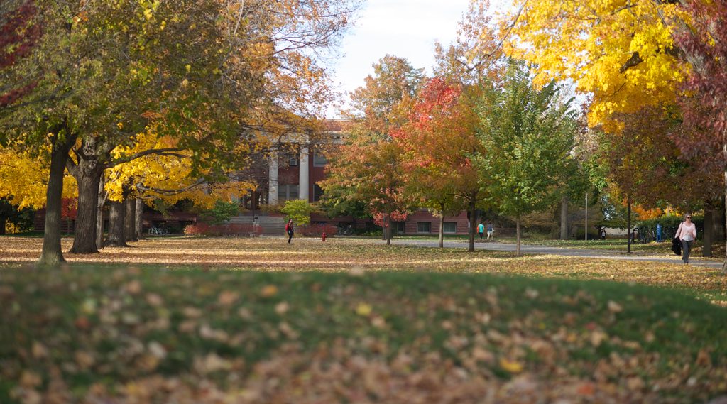 Autumn Campus