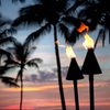 Aloha Party