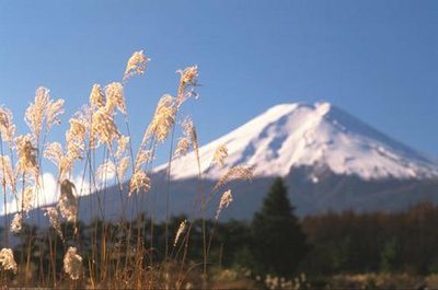 Mt Fuji