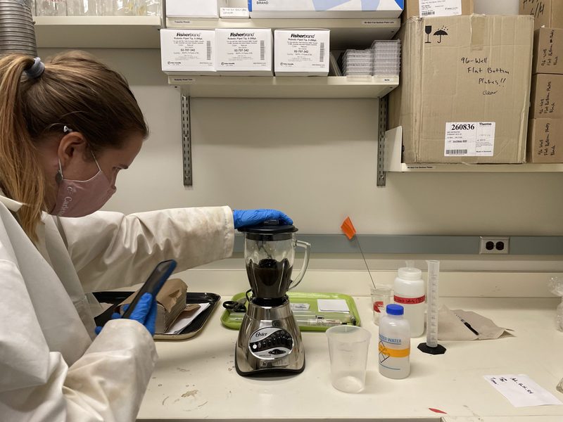 Grace blending the soil and stock solution.