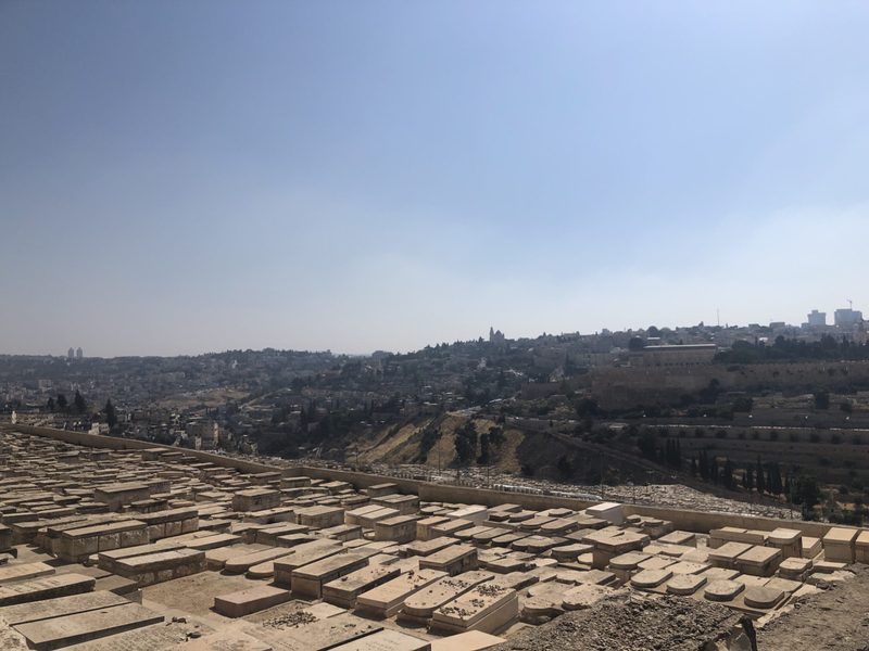 Graves overlooking the city from above