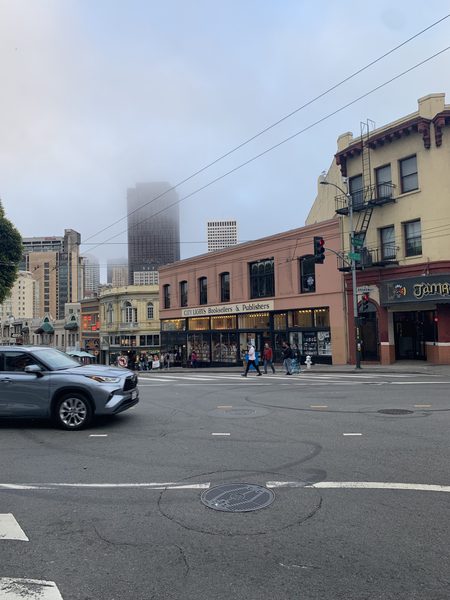 Bay Area Neighborhood on a cloudy day