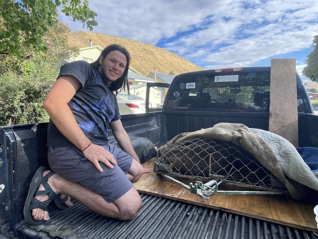 Jonah with trapped beaver in pickup bed