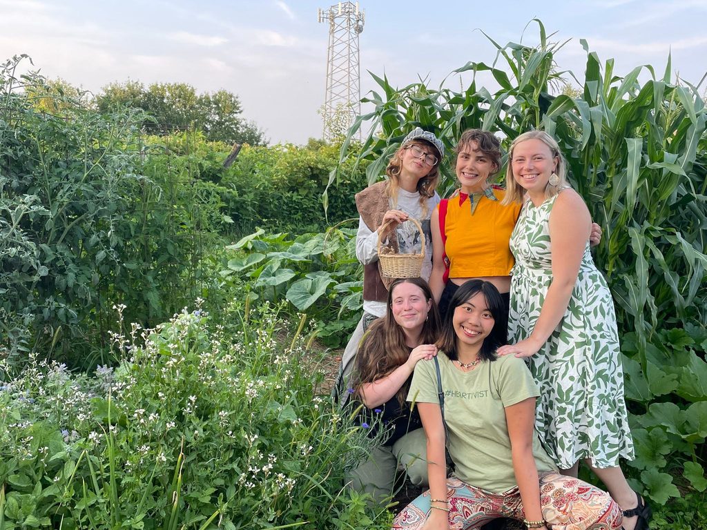 5 people in cornfield