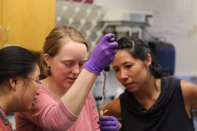 Students and faculty research