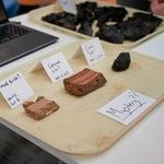 Different rocks found