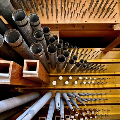 Organ Pipe