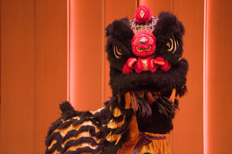 Black lion dancer