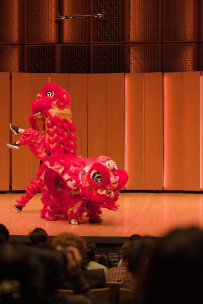 Red lion dancer standing up