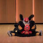 Black lion dancer on the floor