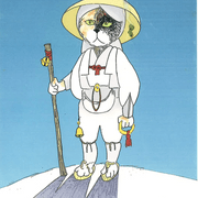 Cat in Henro clothing