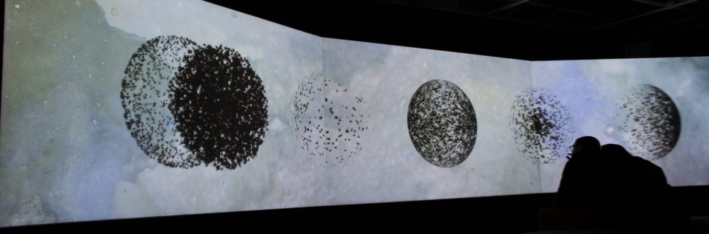 Three projection screens in a dark room displaying images of dark spheres.