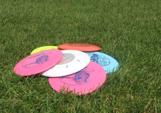 Disc Golf discs on the fields behind the Rec
