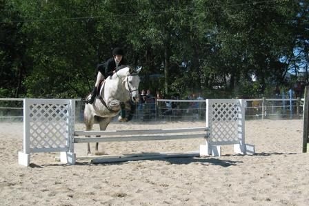 Equestrian jumping in competition