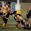 Women's Rugby Featured