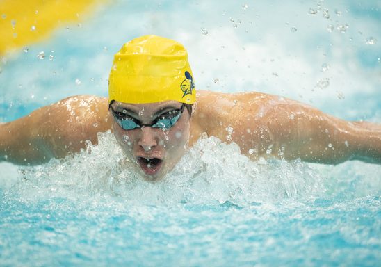 Competing swimmer in pool