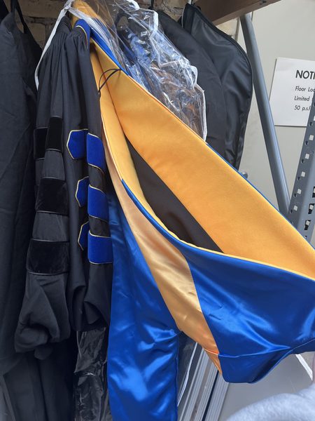 Blue and gold hood