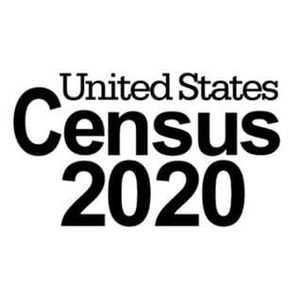 US Census 2020 Logo