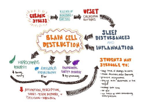 brain cell destruction diagram