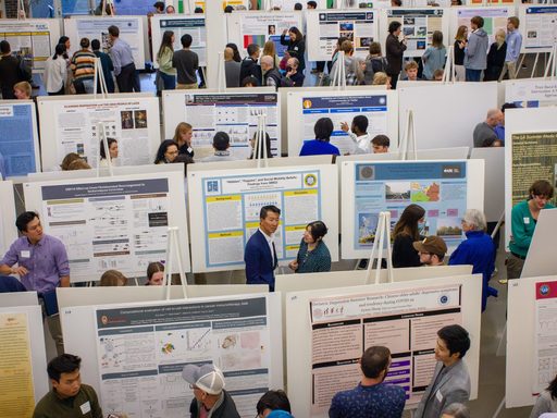 many large posters on white easels with students discussing them