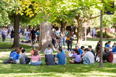 Students On Bald Spot
