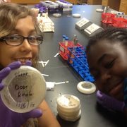 Young scientists growing bacteria collected from common places- like a door knob!