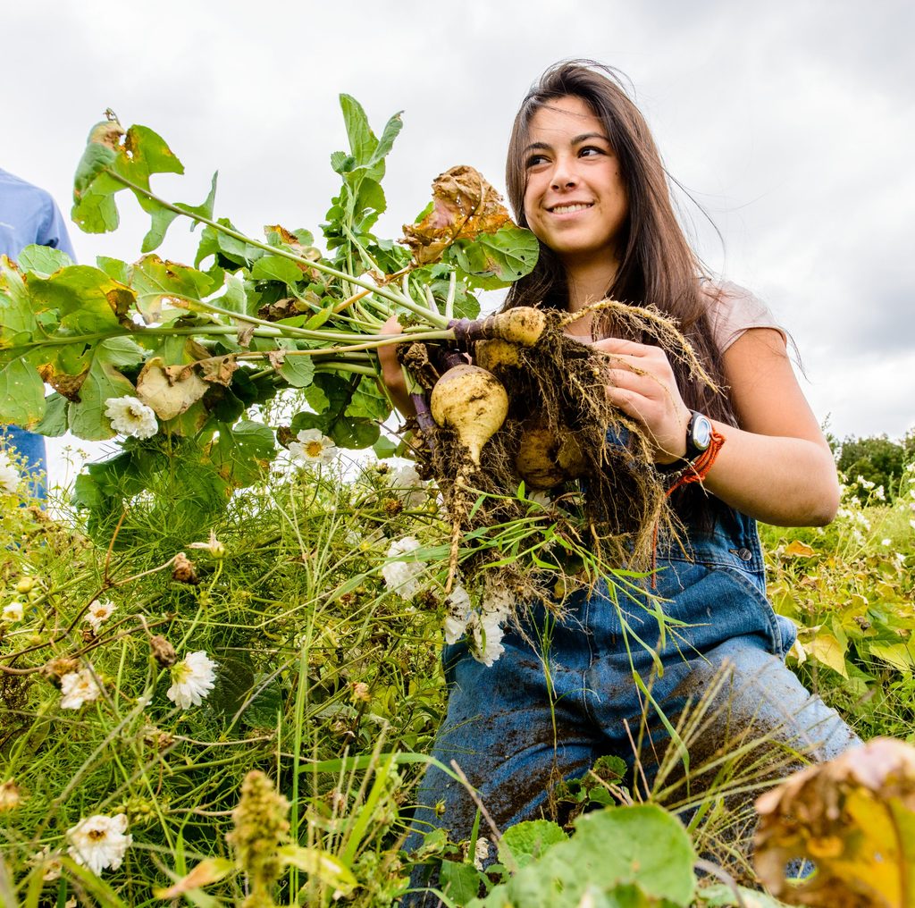 Food Procurement and Systems Fellow Clara Liang '20 (liangc2)