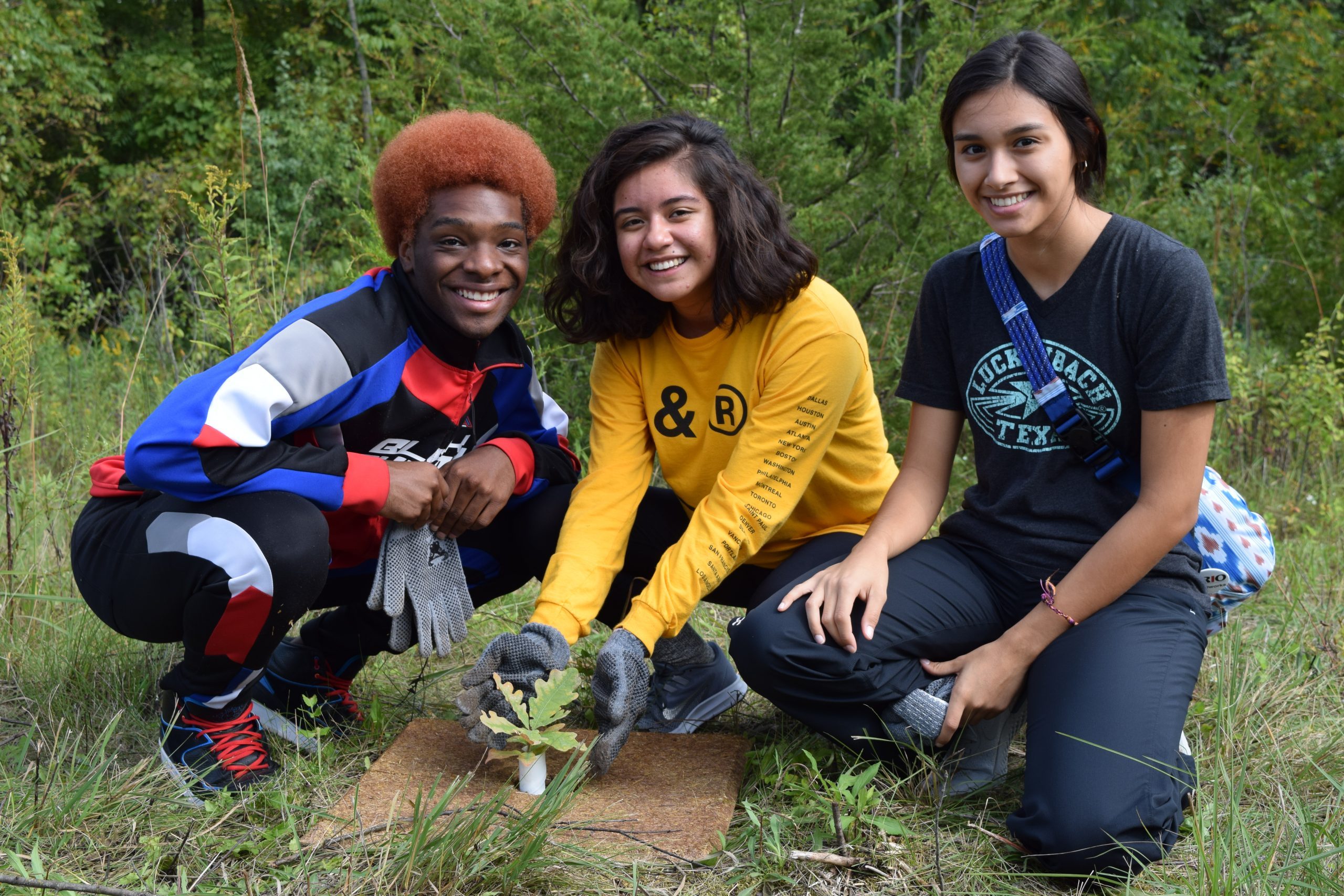 Over 200 trees planted during the Into the Arb event September 2019