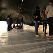 A Whale Event