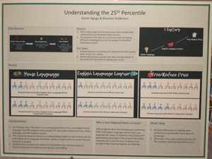 final student poster from Data Visualization as Activism