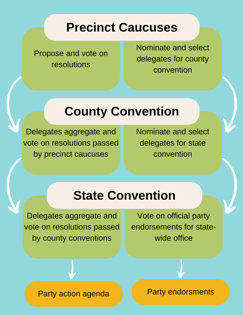 A graphic providing an overview of the way that precinct caucuses impact county conventions and how county conventions impact the state convention.