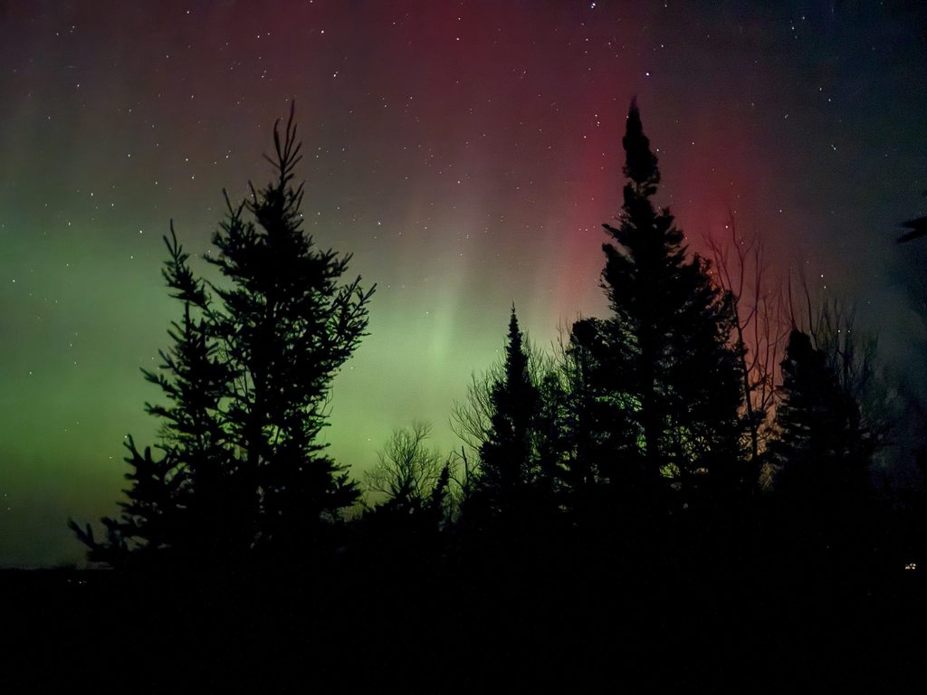 Northern Lights Illuminated Behind Darkened Trees