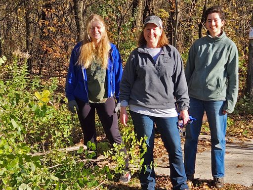 Erica Zweifel and students clearing buckthorn at Hauberg Woods