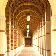 Halls of Universities